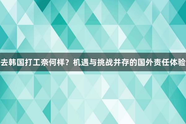 去韩国打工奈何样？机遇与挑战并存的国外责任体验